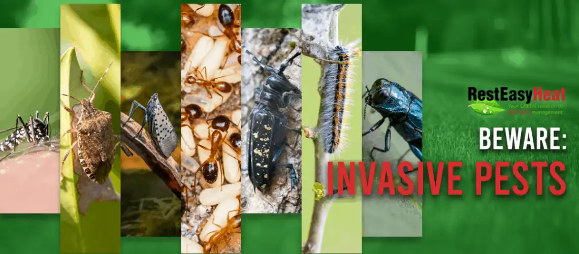 BEWARE- Invasive Pests copy