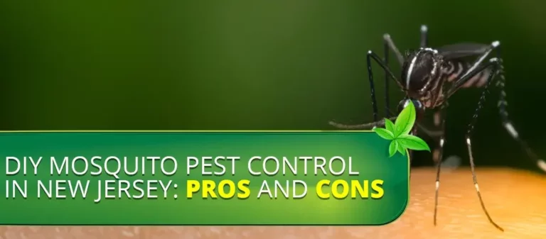 DIY Mosquito Pest Control in New Jersey: Pros and Cons