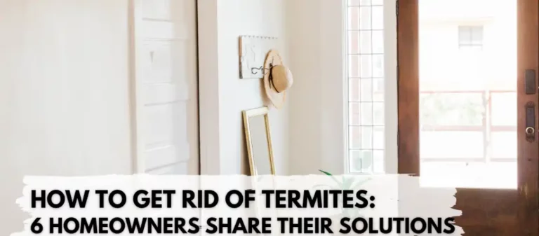 How to Get Rid of Termites: 6 Homeowners Share Their Solutions