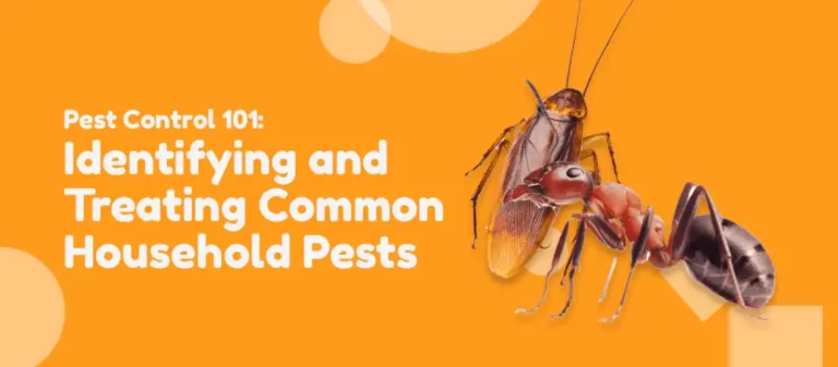 Identifying and Treating Common Household Pests