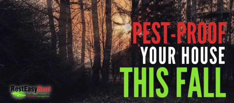 Pest-Proof Your House This Fall