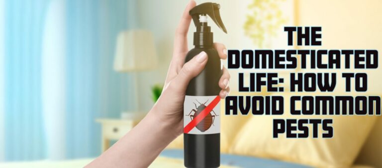 The Domestic Life: How to Avoid Common Pests