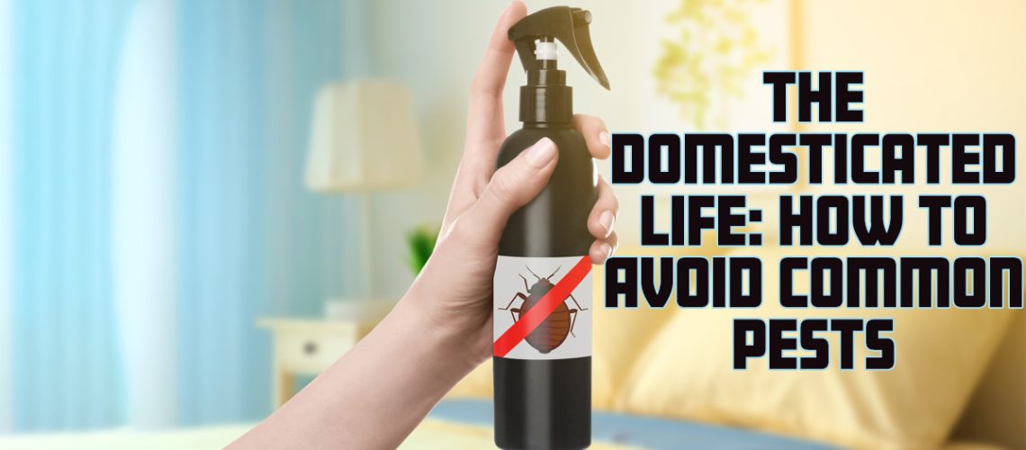 The Domestic Life- How to Avoid Common Pests