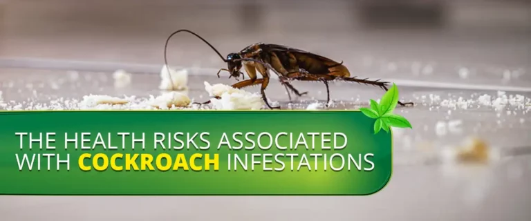 The Health Risks Associated with Cockroach Infestations