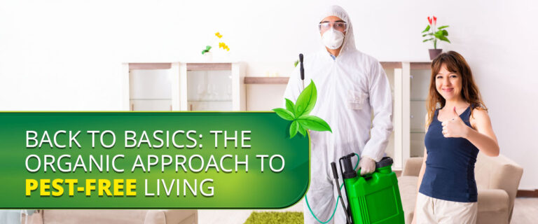 Back to Basics: The Organic Approach to Pest-Free Living