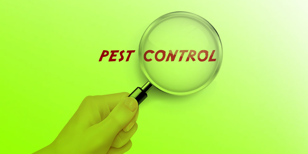 How To Choose the Best Digital Pest Control Service