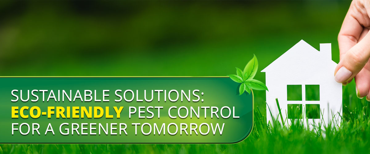 Eco-Friendly Pest Control for a Greener Tomorrow
