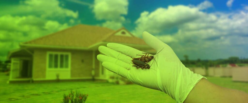 The Need for Eco-Friendly Pest Control