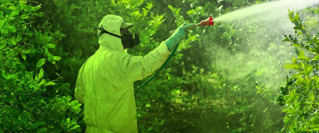 Understanding Organic Pest Control
